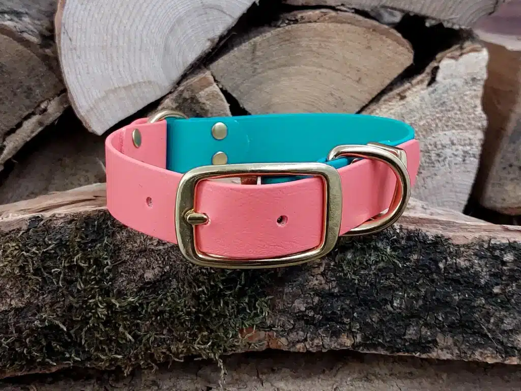A multi coloured biothane dog collar from Collared Creatures