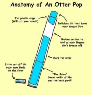 The anatomy of an otter pop
